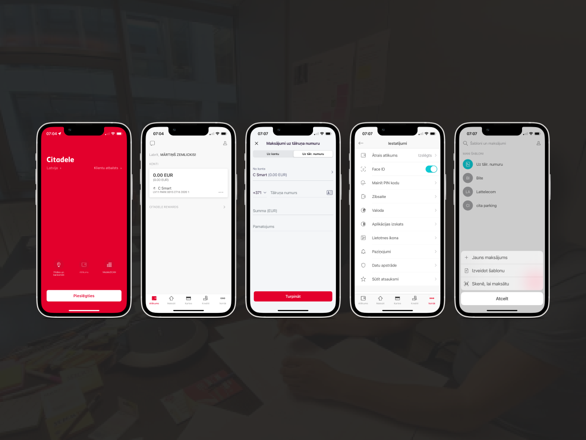 Citadele project screenshot 1